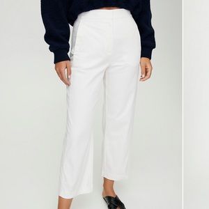 Aritzia The Group by Babaton Walsh Pants